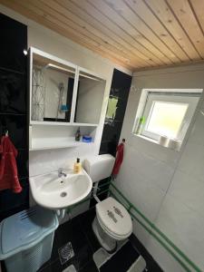 a small bathroom with a sink and a toilet at Mirno mjesto in Mujakovići +12 photos
