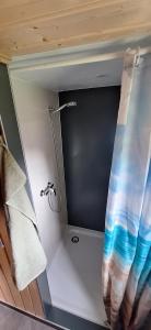 a bathroom with a shower and a curtain in a room at Tiny House An der Pferdekoppel in Groß Garz