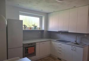 a kitchen with white cabinets and a window at Ponte Liptov in Liptovský Trnovec +11 photos