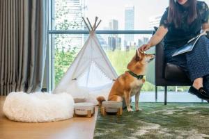 a woman sitting in a chair with a dog next to a tent at Hyatt Regency Beijing Wangjing in Beijing