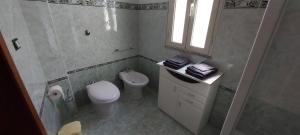 a bathroom with a toilet and a shower and a sink at Alloggio Ziu Oreddu in Orgosolo