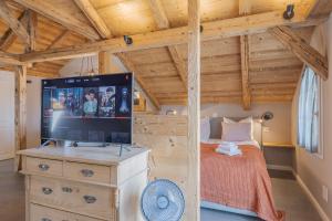 a bedroom with a bed and a tv on a dresser at Buche in Interlaken