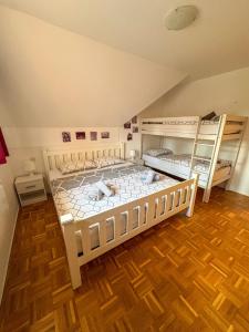 two bunk beds in a room with wooden floors at Apartma Jelenček in Moravske-Toplice