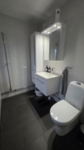 a white bathroom with a toilet and a sink at Modern cosy house with forest views in Södertälje