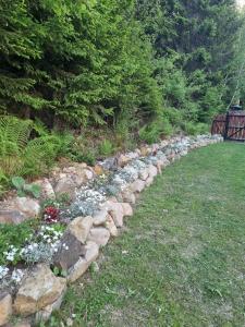 a rock garden with flowers in a yard at Star Panzió in Harghita-Băi