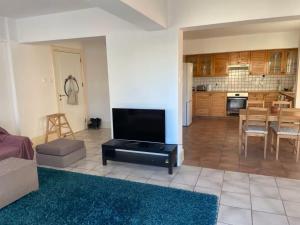 a living room with a tv and a kitchen at Spacious Central Nicosia Flat - Quiet & SafeArea in Nicosia +5 photos