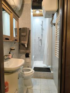 a bathroom with a toilet and a sink and a shower at Tra Vicoli e Natura in Piediluco