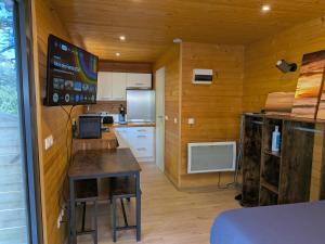 a kitchen with wooden walls and a table in a room at Lodge du Léman in Sciez