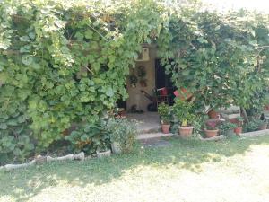 an entrance to a garden with plants in pots at Nada Apartman in Lastva +6 photos