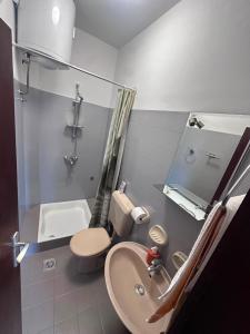 a small bathroom with a sink and a toilet at Apartment Verica in Krilo