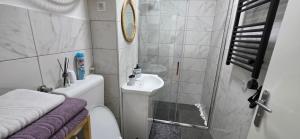 a small bathroom with a sink and a toilet at Apartman Lavanda in Vrdnik +20 photos