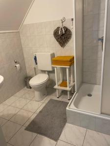 a bathroom with a toilet and a shower and a sink at Homestay Bij de Heldinnen in Helden +9 photos