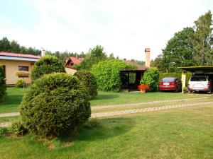 a bush in the yard of a house at Dom wczasowy Fala w Kopalinie in Lubiatowo