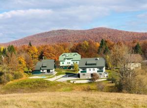 a group of houses in a field with a mountain at Villa Lika in Plitvička Jezera
