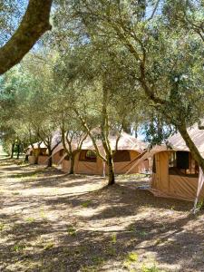 a row of tents in the shade of trees at Agriturismo Barattis in Piombino