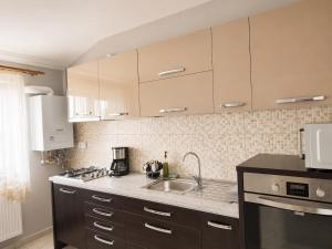 a kitchen with a sink and a stove at Magda's Apartments in Braşov