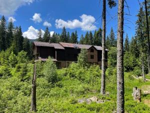 a house in the middle of a forest at Villa Aspen in Belá