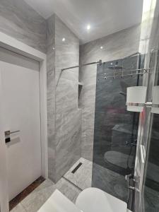 a bathroom with a shower and a toilet and a sink at Geri's Beach Apartments in Golem