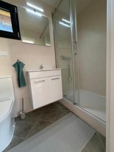a bathroom with a shower and a sink and a toilet at Natka a Ratka in Louka +31 photos