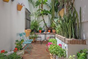 a patio with a table and chairs and plants at Marbella Village in Marbella