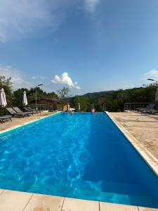 a large blue swimming pool with blue water at Zen Resort and Winery in Slănic