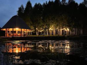 a gazebo with lights in the water at night at Żeremie Jurki Camp in Jurki