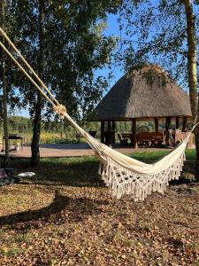 a hammock in a park with a gazebo at Żeremie Jurki Camp in Jurki