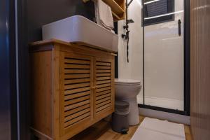a bathroom with a sink and a toilet at Prague River Houseboats - Private Bay in Prague +41 photos