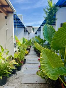 a garden with large green plants on a pathway at Velaa Dhigurah in Dhigurah