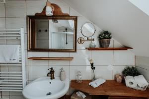 a bathroom with a sink and a mirror at RANČ JUREŠ - Relaxing Countryside Escape in Ljutomer +54 photos
