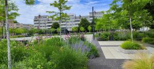a garden with flowers in front of a building at Rynek - Nowy Targ in Wrocław