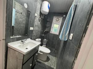a bathroom with a sink and a toilet at Potion's Villa - Shimla in Shimla