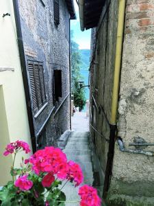 an alley with pink flowers on the side of a building at Tra Vicoli e Natura in Piediluco