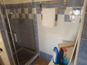 a bathroom with a shower with blue and white tiles at casita la bugamvilla in Mojácar +6 photos