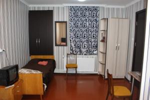 Μια τηλεόραση ή/και κέντρο ψυχαγωγίας στο Guest House Anano