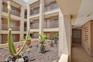 an apartment building with a courtyard with cactus at Los Cristianos Plaza Centre suite in Los Cristianos