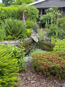 a garden with a pond in the middle of some bushes at Ferienwohnung Witte Huus, 15212 in Leer +17 photos