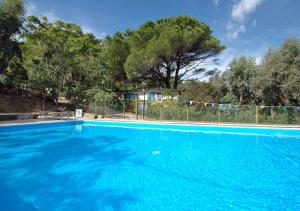 a large blue swimming pool with trees in the background at Sansone Sul Mare Appartamenti in Portoferraio