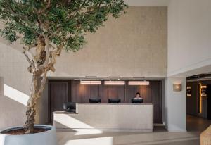 a woman sitting at a desk in an office with a tree at Estival Maramar in Comarruga