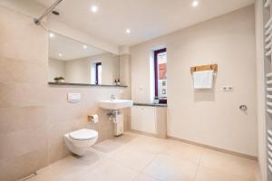 a bathroom with a toilet and a sink at Elementa City Lodge Quedlinburg 4 in Quedlinburg