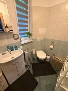 a bathroom with a sink and a toilet at Apartman BibKa in Donovaly +36 photos