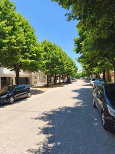 a tree lined street with cars parked on the road at Sofia in Komotini