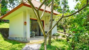 a small house in the middle of a garden at Kubu Kiku Megati in Selemadeg +19 photos