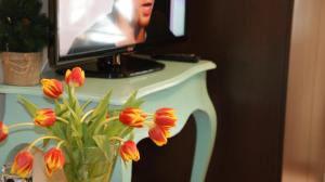 TV a/nebo společenská místnost v ubytování Willa Plejady
