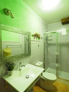 a bathroom with a toilet and a sink and a shower at La Senda Del Duratón in Sebúlcor +81 photos