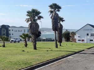 a group of palm trees on a grass field at CCV Beach House in Bay View