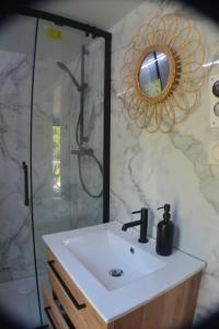 a bathroom with a sink and a shower with a mirror at Houseboat - Suite Aurore in Honfleur