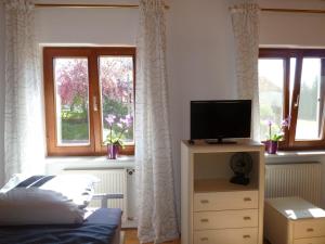 um quarto com uma cama, uma televisão e janelas em Ferienwohnung Tegernheim em Tegernheim