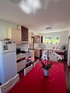 a kitchen with a white refrigerator and a red rug at Aranykéz vendégház in Şoimeni