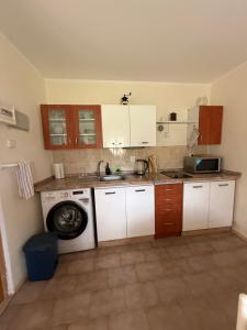 a kitchen with a sink and a washing machine at Ubytování v Jedničce in Hrubá Skála